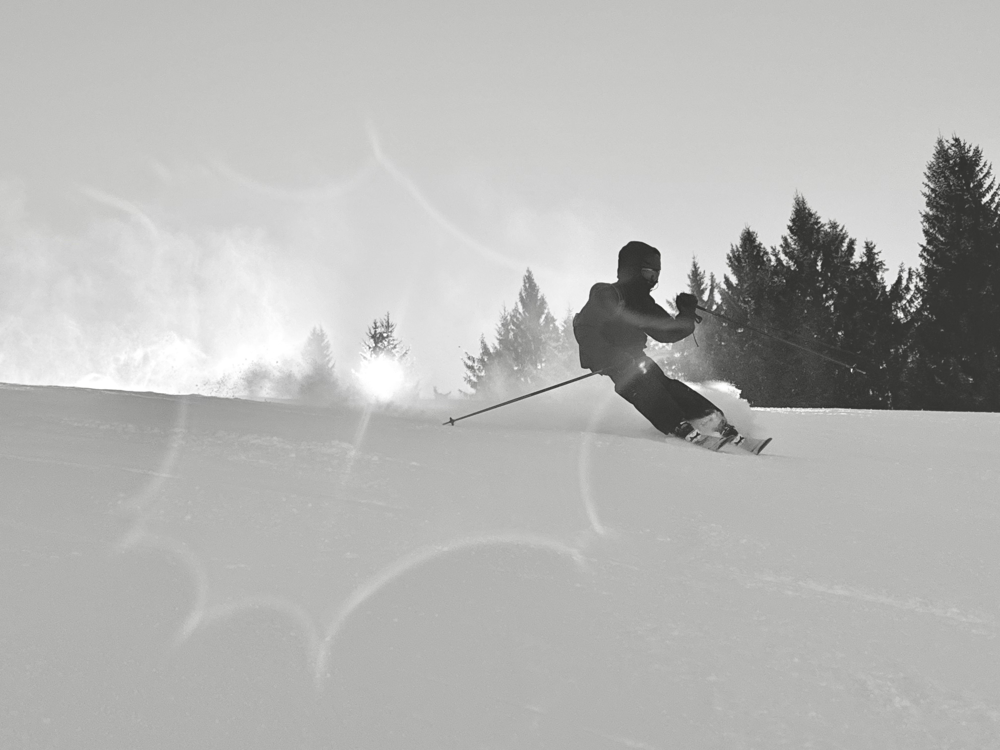 Skifahrer in Schwarz-Weiß beim Carve-Schwung im Pulverschnee, Gegenlicht
